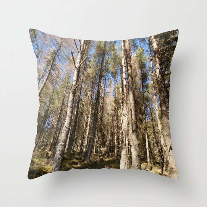 Scottish Pine Forest in the Spring Sunlight Throw Pillow