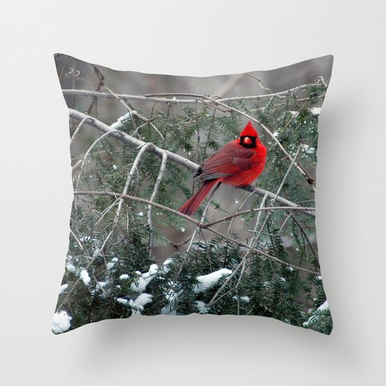Winter Cardinal Throw Pillow