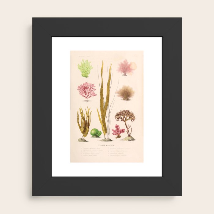 Framed Art Print