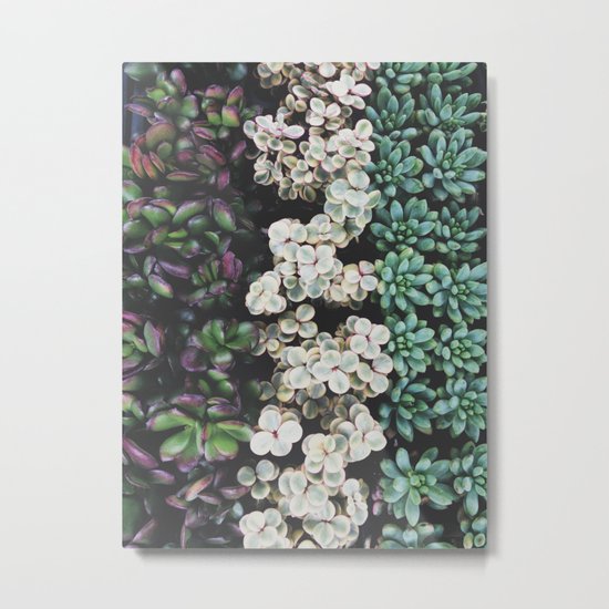 Succulent (4) Metal Print