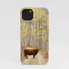 Cow in aspens iPhone Case