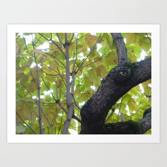 Parapluie Art Print