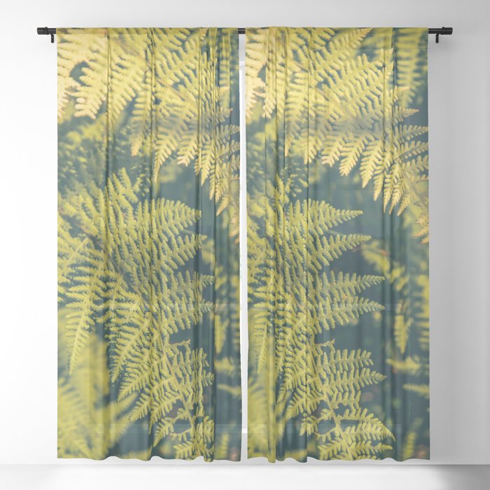 A green fern plants background with shadows.  Sheer Curtain