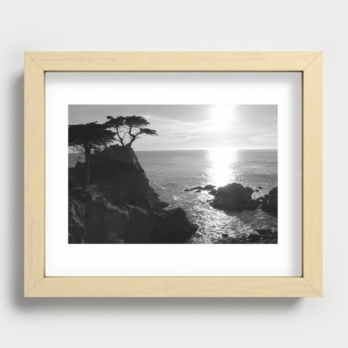 Cypress Recessed Framed Print