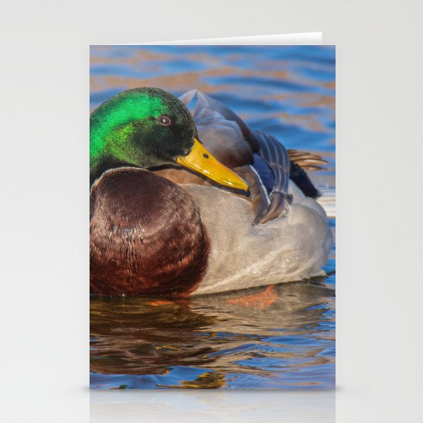 Mallard Stationery Cards