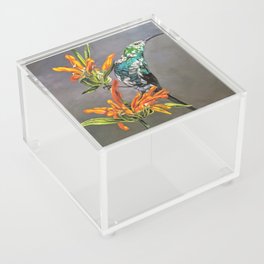 Delicate Poser Acrylic Box