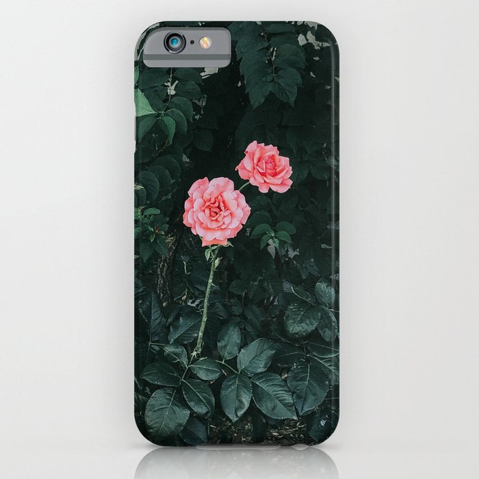 Vintage Pink Roses iPhone Case
