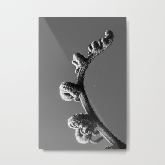 Fern 2 Metal Print