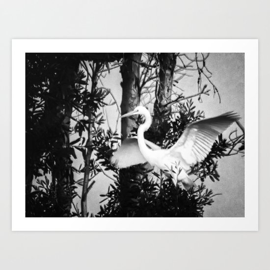 Great Egret In The Trees Art Print