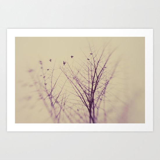 The Purity Of Spring Art Print