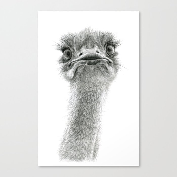 Cute Ostrich SK053 Canvas Print