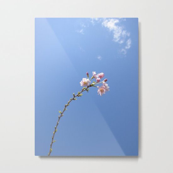 One of the Most Beautiful Things In This World Metal Print