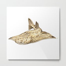 Angel shark Metal Print | Angelshark, Marinebiology, Vintage, Sharkart, Squatinasquatina, Biodiversity, Realism, Sharks, Illustration, Watercolor 