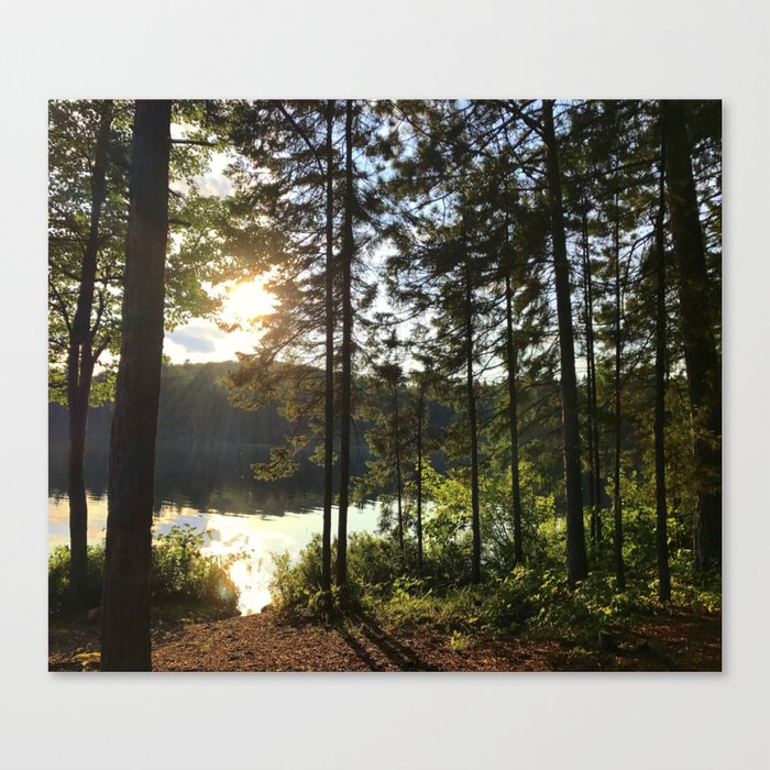 Portage through Algonquin Park, Ontario Canvas Print