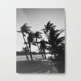 black and white palm trees Metal Print