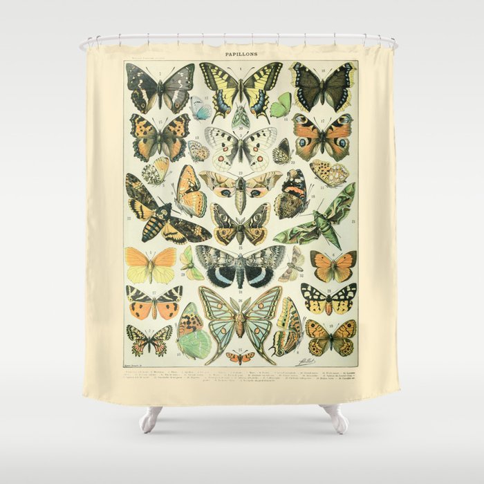https://ctl.s6img.com/society6/img/jwtSNl5fctTHq_I8gBCkLOvH64s/w_700/shower-curtains/~artwork,fw_6000,fh_6000,fy_-818,iw_6000,ih_7636/s6-original-art-uploads/society6/uploads/misc/f0e5a696f0654eadbf29ee9612d21edd/~~/vintage-butterfly-diagram-papillions-by-adolphe-millot-19th-century-science-textbook-artwork-shower-curtains.jpg