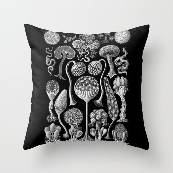 Slime Molds (Mycetozoa) by Ernst Haeckel Throw Pillow
