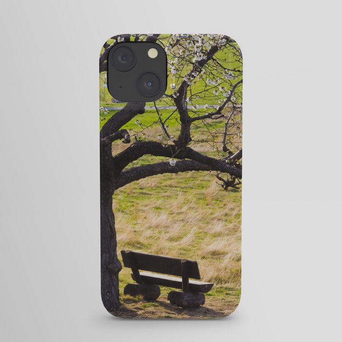 bench under cherry tree 02 iPhone Case