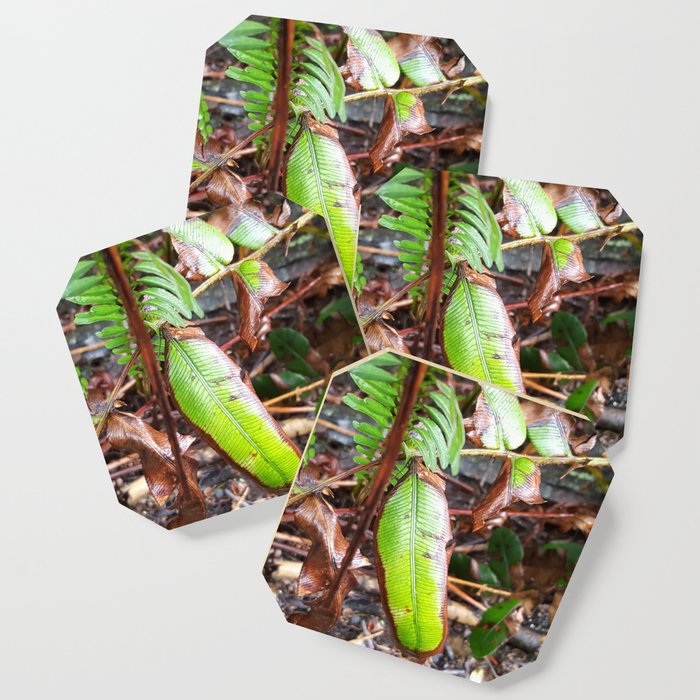 Leatherwood Leaf Coaster