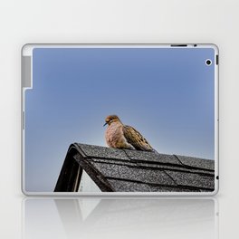 Morning Dove Bird Laptop Skin