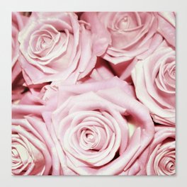 Beautiful bed of pink roses -Floral Rose Flowers Canvas Print