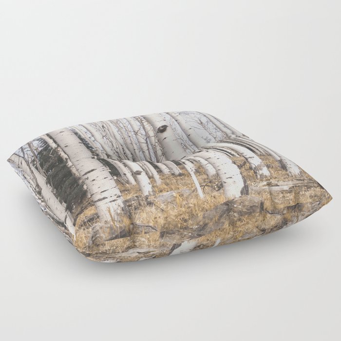 Trees of Reason - Birch Forest Floor Pillow