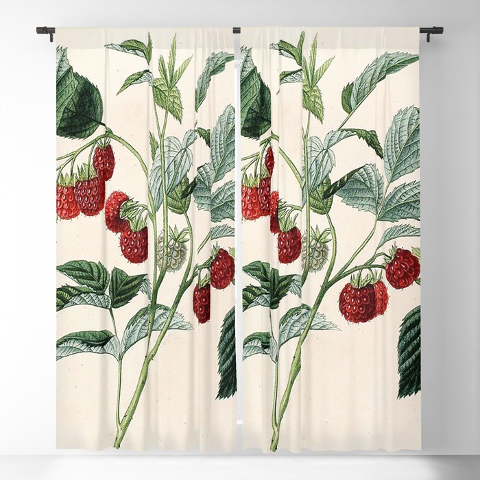 Plant Blackout Curtain