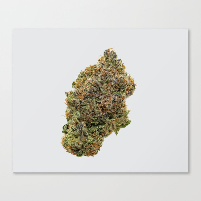 Better Than Bubba Canvas Print