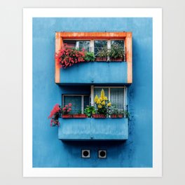 Facade with Vibrant Balcony Plants Against Urban Wall – Urban Photography Art Print