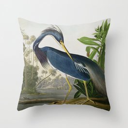 John James Audubon Louisiana Heron Painting Throw Pillow