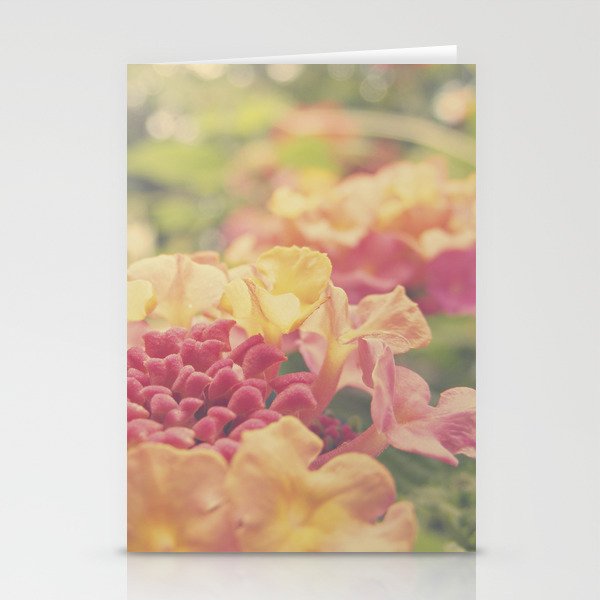 Daydreams of Summers Past Stationery Cards