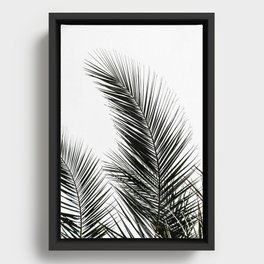 Palm Leaves Framed Canvas