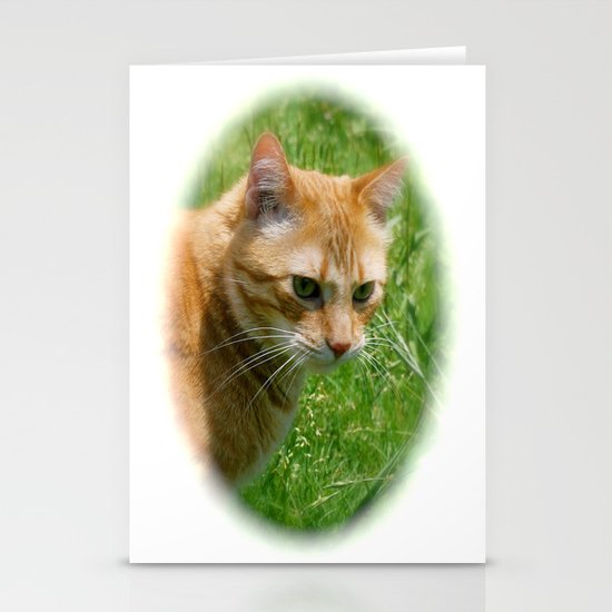 Max Stationery Cards