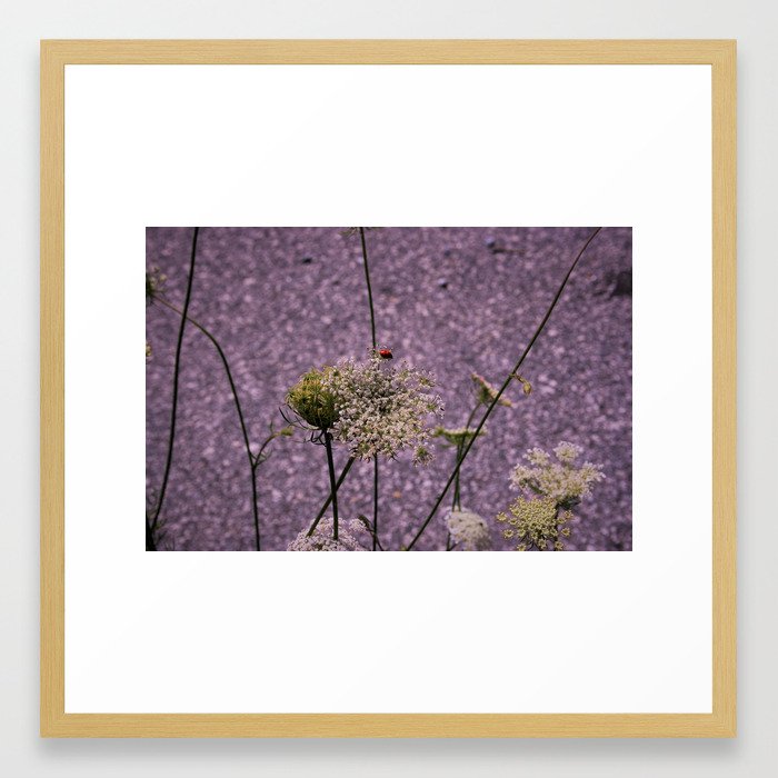 Seclusion Framed Art Print