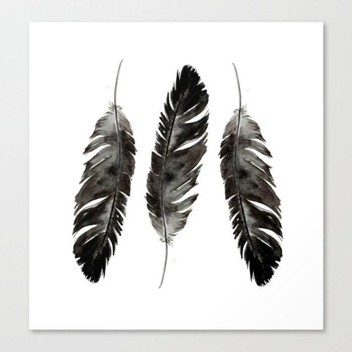 Three feathers Canvas Print