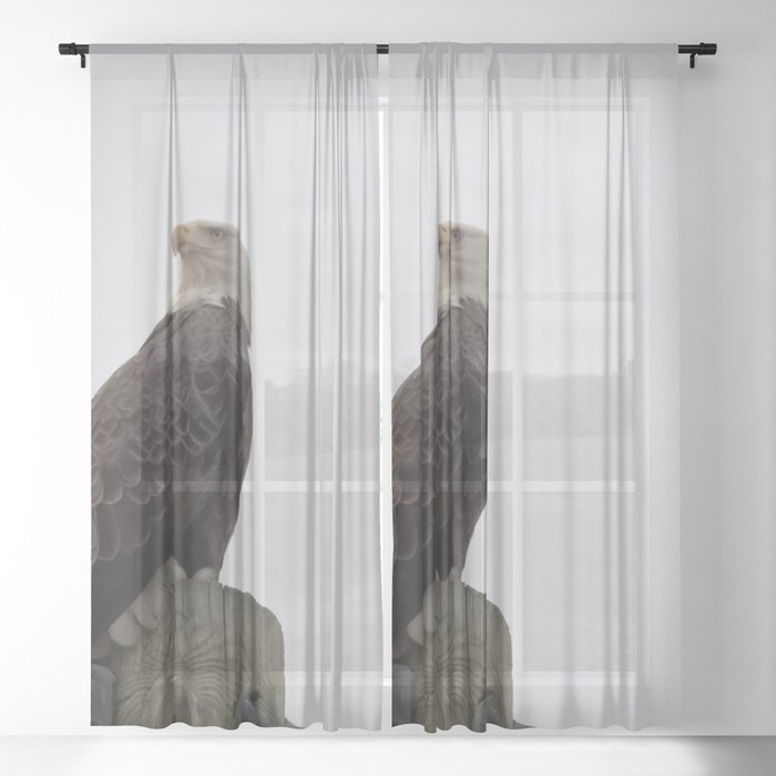 looking for curtains