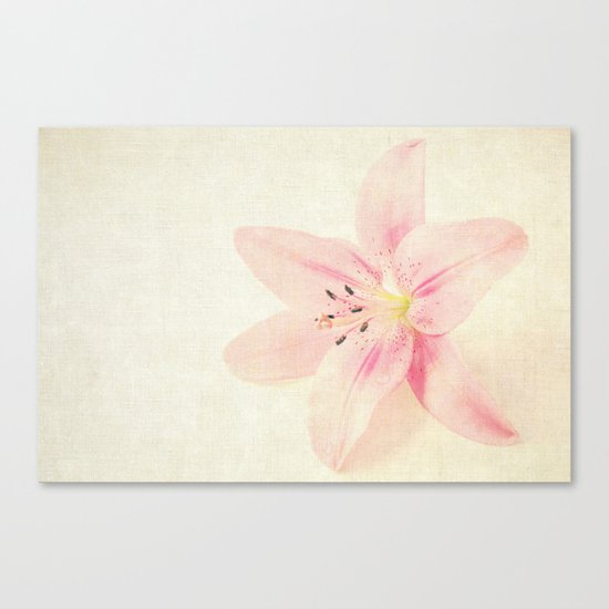 Flower On a Canvas Canvas Print