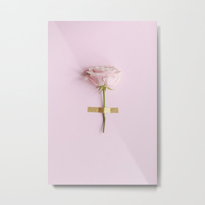The Flower Collection: Pink Rose Metal Print