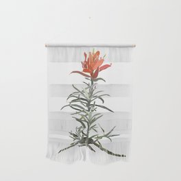 Indian Paintbrush In Bloom Wall Hanging