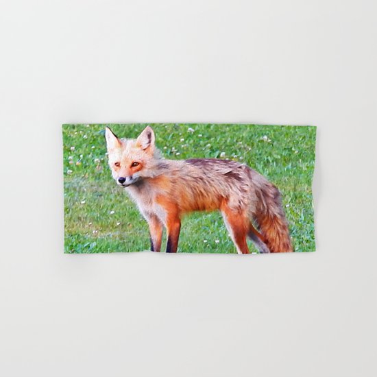 Red Fox in a Yard Hand & Bath Towel
