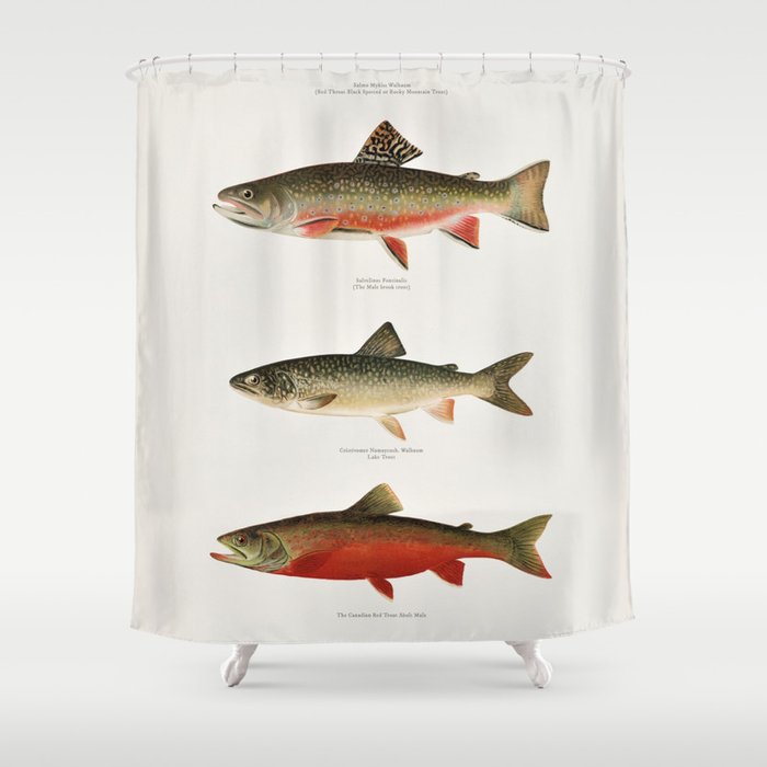 Illustrated North American Freshwater Trout Game Fish Identification Chart Shower Curtain