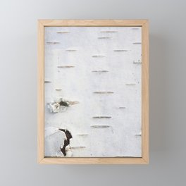 Birch bark pattern Framed Mini Art Print