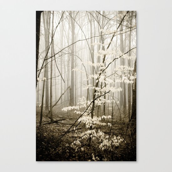 Apparition Canvas Print