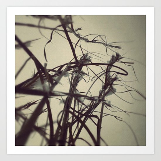 Snow fall in the field. Art Print