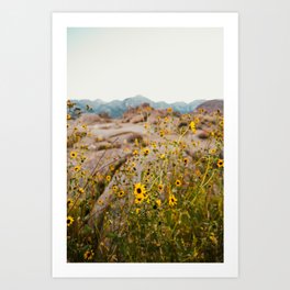 Wild Desert Flowers Art Print