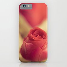 A Red Rose for your Sweetheart