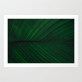 Close up macro plants in the jungle | Colombia Art Print | Closeup, Travel, Felixvanleusden, Photo, Travelphotography, Green, Lush, Southamerica, Trees, Macro 