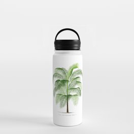 Palm tree Water Bottle