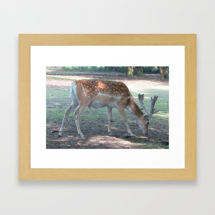 Oh deer! Framed Art Print
