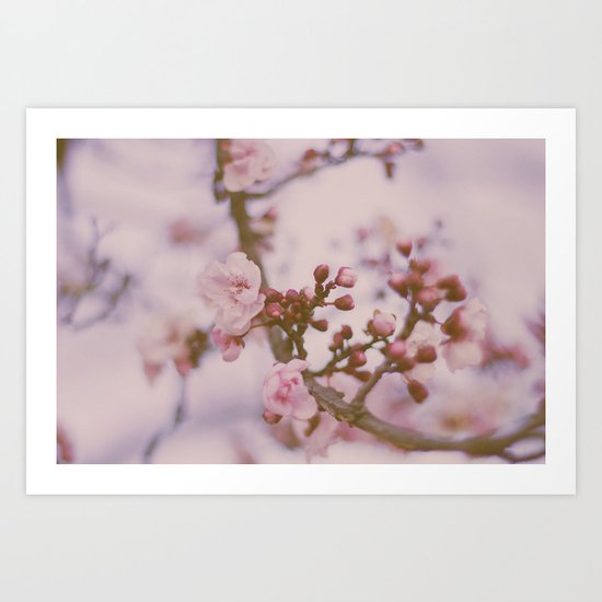 Small & Soft II Art Print